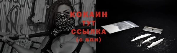 твердый Володарск