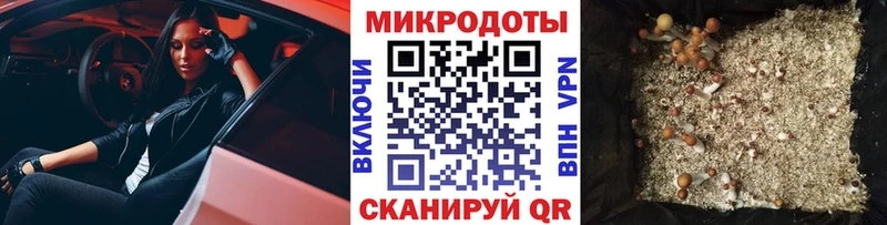 Галлюциногенные грибы мухоморы  Купить  Нязепетровск 